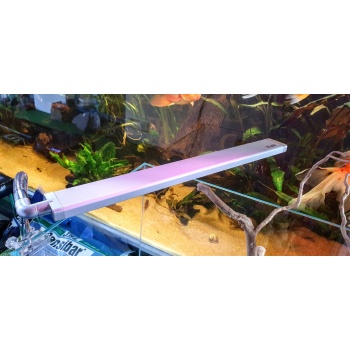 Blau Pico Lumina RGB+ 11w.