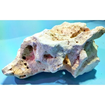 Holestone  (23x16cm/ 2