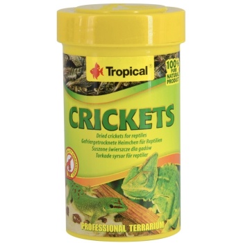 Tropical Crickets Kuivatut sirkat 10g