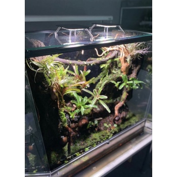 SKYLIGHT MID-30 INTENSE X 2 - VALAISIN