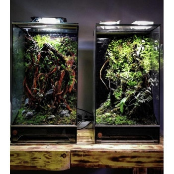 Skylight Terraariovalaisin ﻿﻿MID-30R INTENSE  (valkoinen