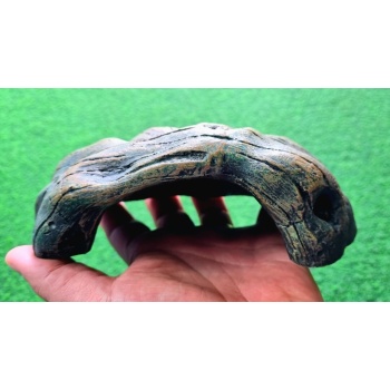 GIGANTERRA LUOLA    19x12x7cm