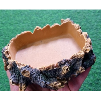 GIGANTERRA VESIASTIA 17x13cm