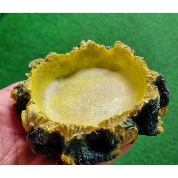 GIGANTERRA VESIASTIA 11x11cm