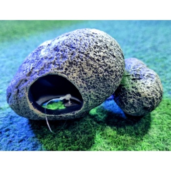 Giganterra Kiviluola