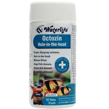 OCTOZIN 21 TAB KALOJEN REIKÄTAUTI-