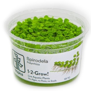 TROPICA 1-2-GROW SPIRODELA POLYRRHIZA (ISOLIMASKA)